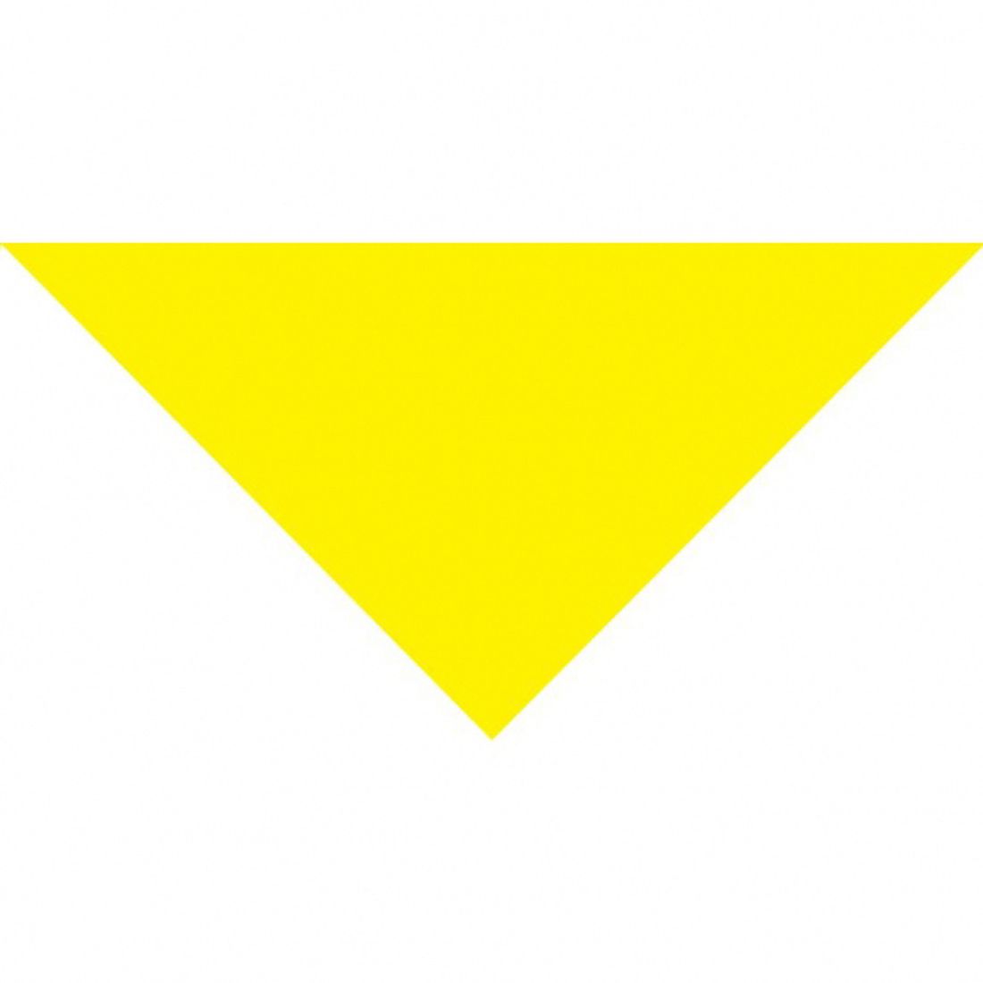 Bandana triangolare grande personalizzata